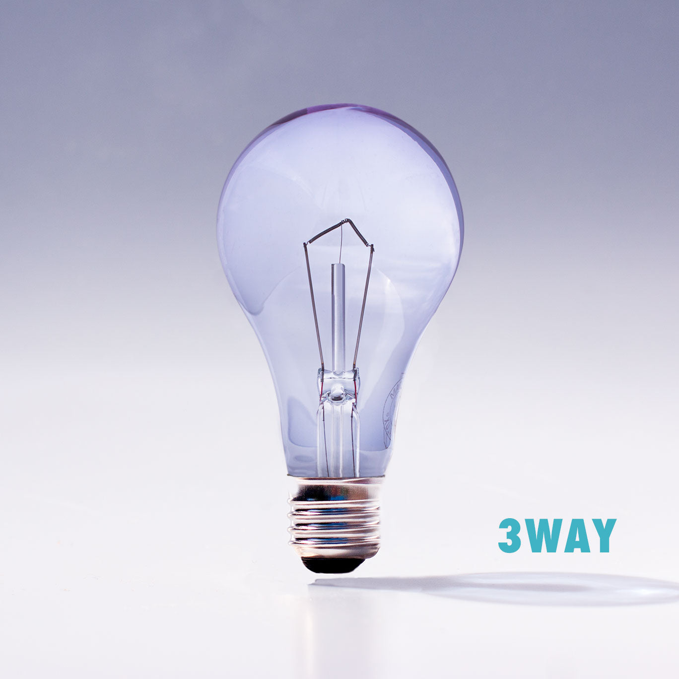 Clear 3 Way Incandescent Light Bulb by Chromalux®