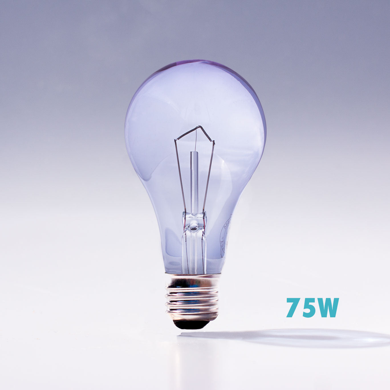 Chromalux-A21-75W-Clear-Full-Spectrum-Incandescent-Bulb