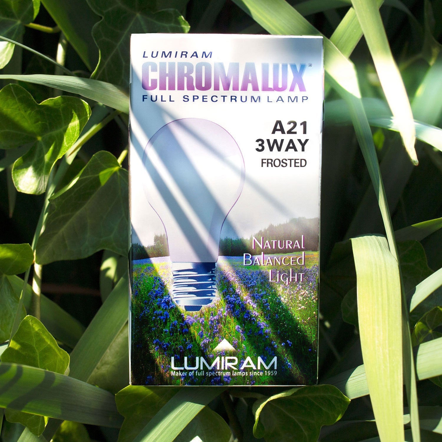 Chromalux full spectrum light bulb 3WAY incandescent frosted
