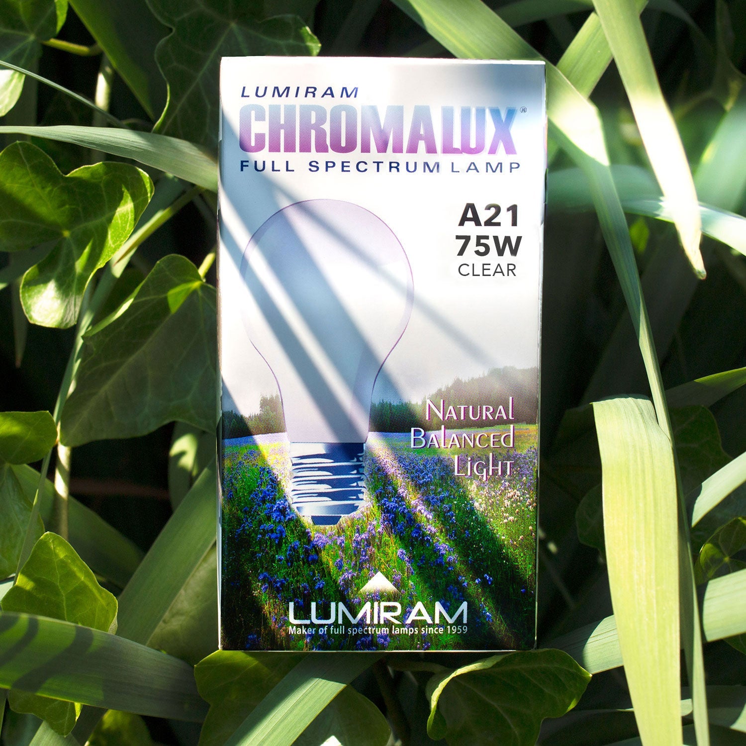 Chromalux full spectrum light bulb 75W clear
