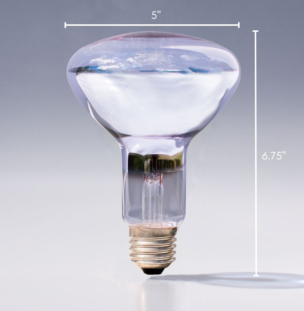 R40 / 150W Clear Chromalux® Full Spectrum Reflector - Distributor Case Quantity (20 bulbs)