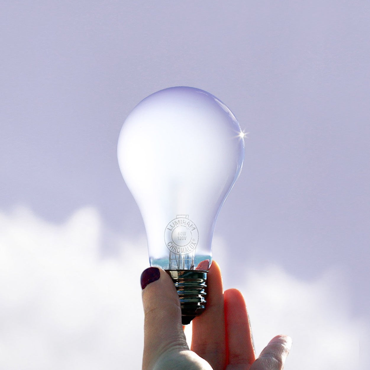 Hand holding Chromalux® Full Spectrum 60W Incandescent Light Bulb