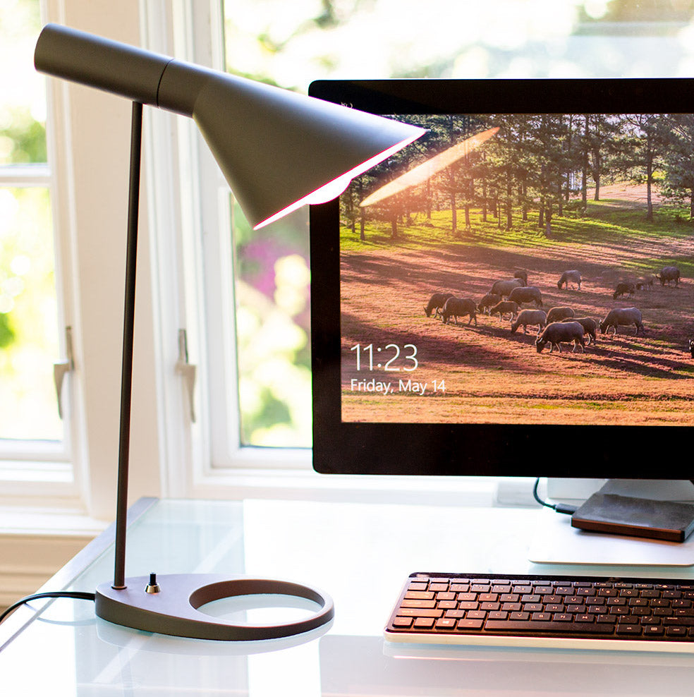 75W Full Spectrum desk lamp bulb